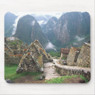 Zuid-Amerika, Peru, Machu Picchu Muismat