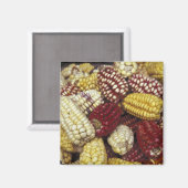 Zuid-Amerika, Peru Maïs, Maïs Magneet (Voorkant / Achterkant)