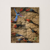 Zuid-Amerika, Peru, Nationaal park Manu, Legpuzzel (Verticaal)