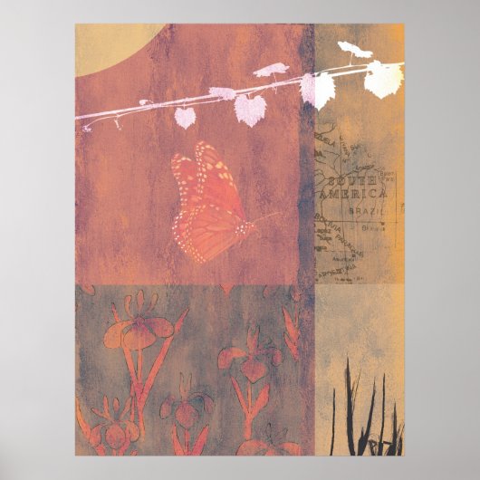 Zuid-Amerika Poster (Voorkant)