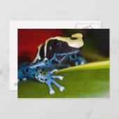 Zuid-Amerika, Republiek Suriname. Sluiten Briefkaart (Voorkant / Achterkant)