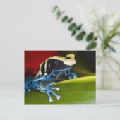 Zuid-Amerika, Republiek Suriname. Sluiten Briefkaart (Staand voorkant)