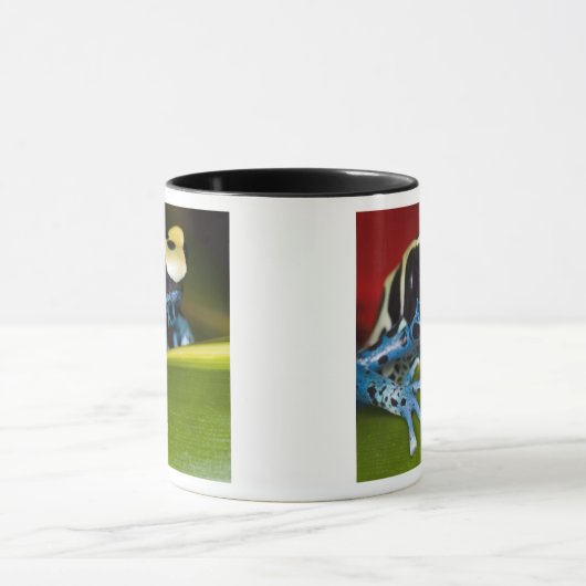 Zuid-Amerika, Republiek Suriname. Sluiten Mok (Midden)