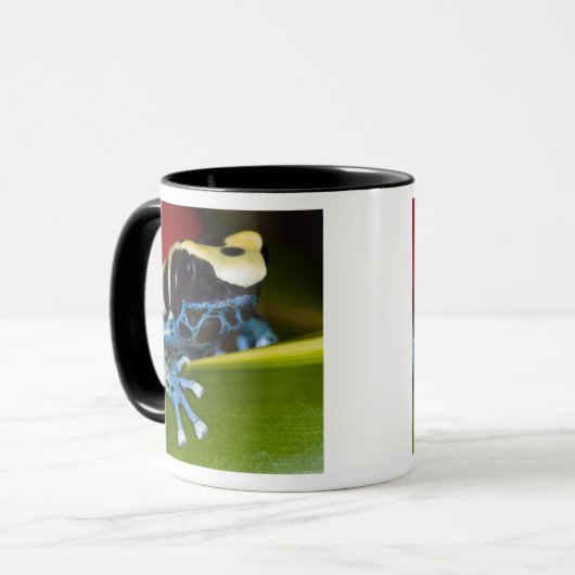 Zuid-Amerika, Republiek Suriname. Sluiten Mok (Voorkant links)