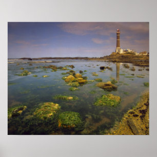 Zuid-Amerika, Uruguay, Punta Jose Ignacio, Poster