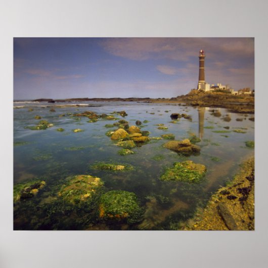 Zuid-Amerika, Uruguay, Punta Jose Ignacio, Poster (Voorkant)