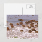 Zuid-Amerika, Venezuela, de regio Llano. Briefkaart (Voorkant / Achterkant)