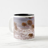 Zuid-Amerika, Venezuela, de regio Llano. Tweekleurige Koffiemok (Voorkant links)