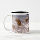 Zuid-Amerika, Venezuela, de regio Llano. Tweekleurige Koffiemok (Links)