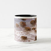 Zuid-Amerika, Venezuela, de regio Llano. Tweekleurige Koffiemok (Center)