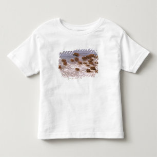 Zuid-Amerika, Venezuela, Llano-regio. Kinder Shirts