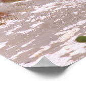 Zuid-Amerika, Venezuela, Llano-regio. Poster (Hoek)