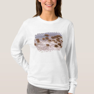Zuid-Amerika, Venezuela, Llano-regio. T-shirt