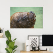 Zuid-Amerikaans zee leeuw Poster (Thuiskantoor)