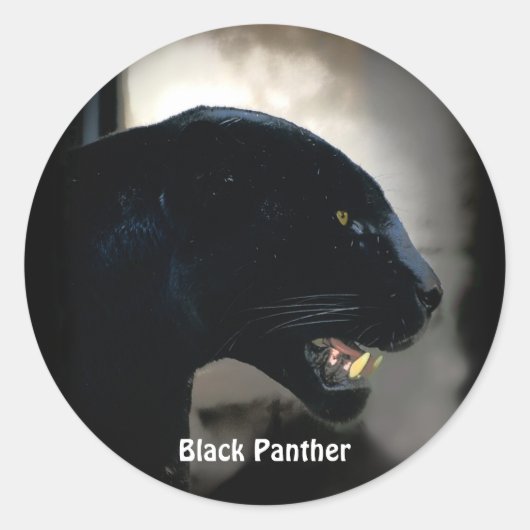 Zuid-Amerikaanse Black Panther Wildlife Stickers (Voorkant)