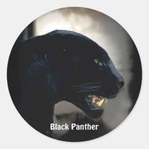 Zuid-Amerikaanse Black Panther Wildlife Stickers