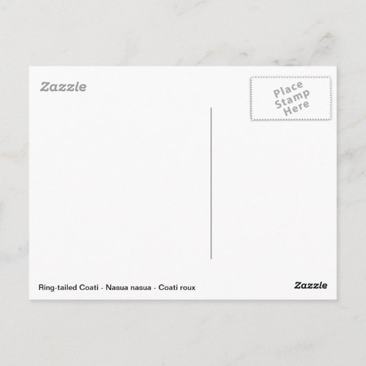 Zuid-Amerikaanse Coati in boom Briefkaart (Achterkant)