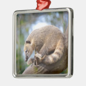 Zuid-Amerikaanse Coati op bijkantoor Briefkaart Metalen Ornament (Links)