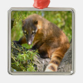 Zuid-Amerikaanse Coati-tak Metalen Ornament (Voorkant)