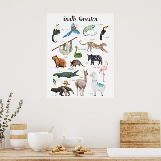 Zuid-Amerikaanse Dieren | Onderwijs Klaslokaal Poster (Keuken)