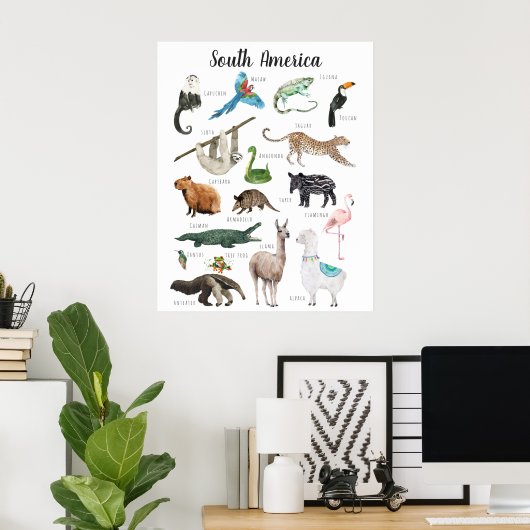 Zuid-Amerikaanse Dieren | Onderwijs Klaslokaal Poster (Thuiskantoor)