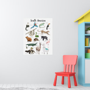 Zuid-Amerikaanse dieren   Onderwijsklaslokaal Poster