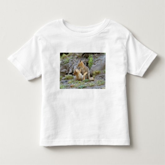 Zuid-Amerikaanse Gray Fox (Lycalopex griseus) paar Kinder Shirts (Voorkant)