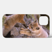 Zuid-Amerikaanse grijze vos (Lycalopex griseus) pa Case-Mate iPhone Case (Achterkant (horizontaal))