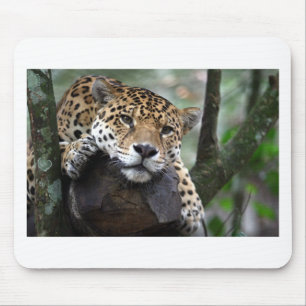 Zuid-Amerikaanse Jaguar Muismat