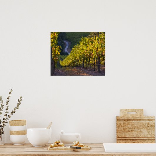 Zuid-Australië, Adelaide Hills, Summertown 2 Poster (Keuken)