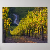 Zuid-Australië, Adelaide Hills, Summertown 2 Poster (Voorkant)