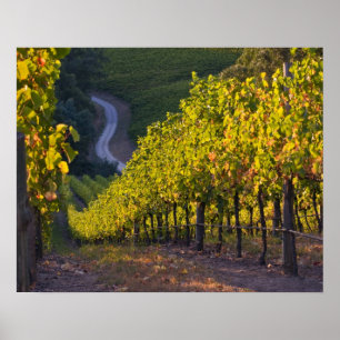 Zuid-Australië, Adelaide Hills, Summertown 2 Poster