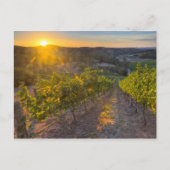 Zuid-Australië, Adelaide Hills, Summertown. Briefkaart (Voorkant)