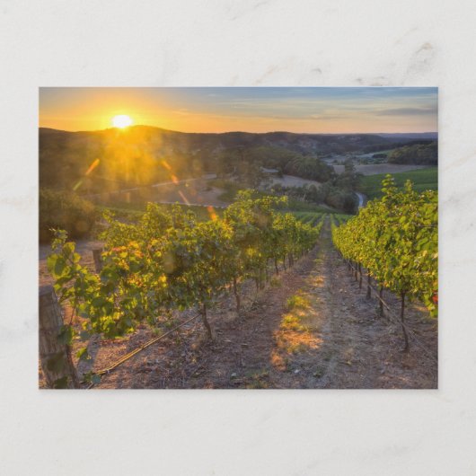 Zuid-Australië, Adelaide Hills, Summertown. Briefkaart (Voorkant)