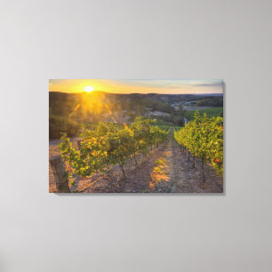Zuid-Australië, Adelaide Hills, Summertown. Canvas Afdruk