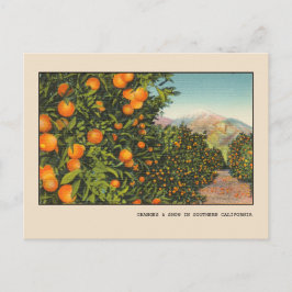 Zuid-Californië Oranje Grove  Linen Briefkaart