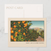 Zuid-Californië Oranje Grove  Linen Briefkaart (Voorkant / Achterkant)
