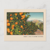 Zuid-Californië Oranje Grove  Linen Briefkaart (Voorkant)