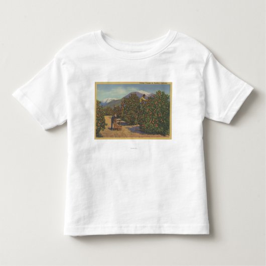 Zuid-Californië - Sinaasappels schoppen Kinder Shirts (Voorkant)