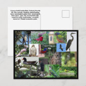 Zuid-Carolina Bird Species Collage Briefkaart (Voorkant / Achterkant)