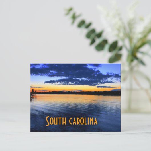 zuid-carolina briefkaart (Staand voorkant)