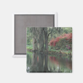 Zuid Carolina, Charleston Magneet (Voorkant / Achterkant)