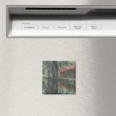 Zuid Carolina, Charleston Magneet (Insitu (Vaatwasser))