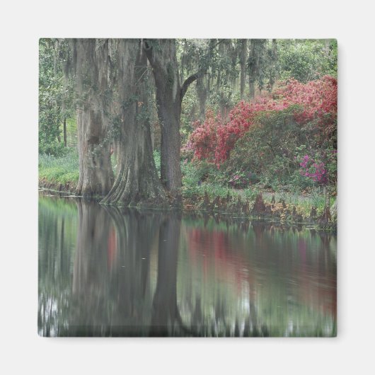 Zuid Carolina, Charleston Magneet (Voorkant)