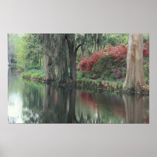 Zuid-Carolina, Charleston Poster