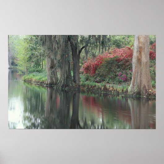 Zuid Carolina, Charleston Poster (Voorkant)