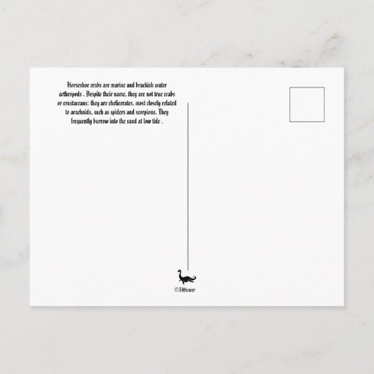 Zuid-Carolina Hoefijzer krab Briefkaart (Achterkant)