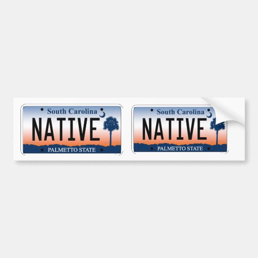 Zuid-Carolina Palmetto Sunrise Native Plaat Bumpersticker (Voorkant)