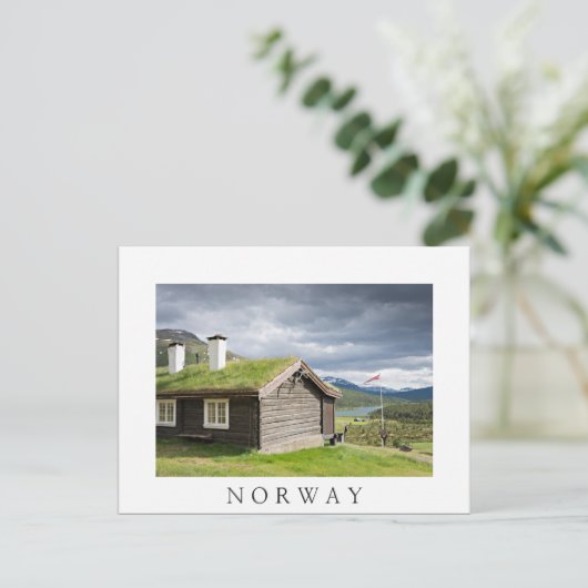 Zuid-dakloscool in Noorse witte briefkaart (Staand voorkant)