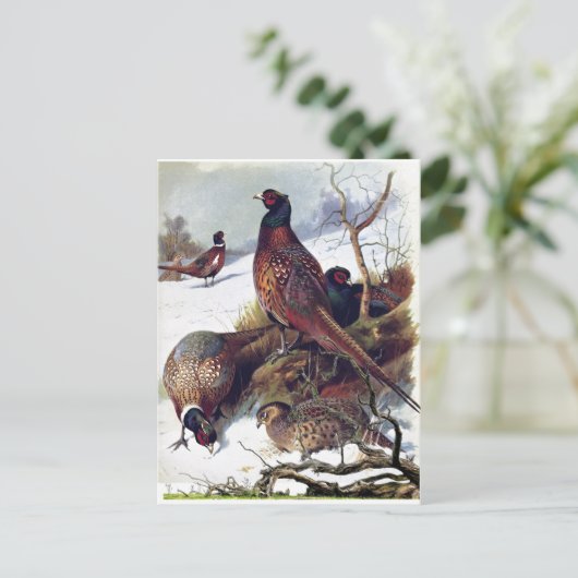 Zuid-Dakota Ring-necked Pheasant  Briefkaart (Staand voorkant)